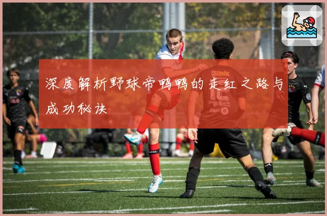 深度解析野球帝鸭鸭的走红之路与成功秘诀