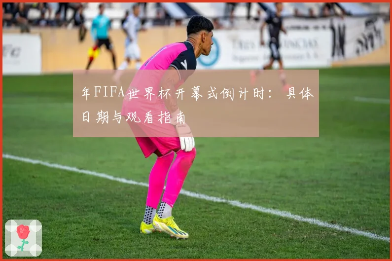 年FIFA世界杯开幕式倒计时：具体日期与观看指南