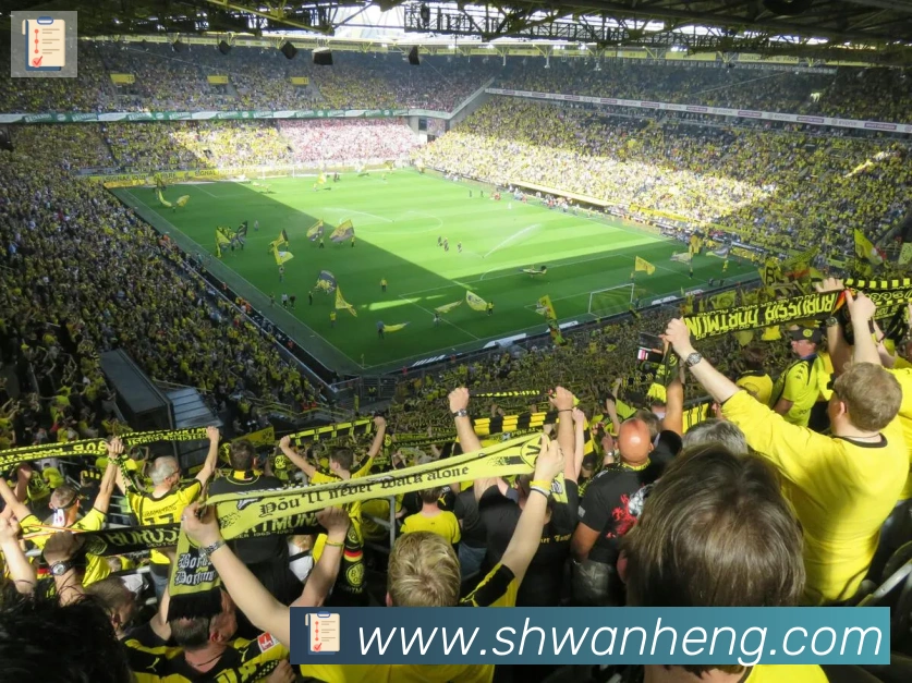 爱游戏体育荣誉